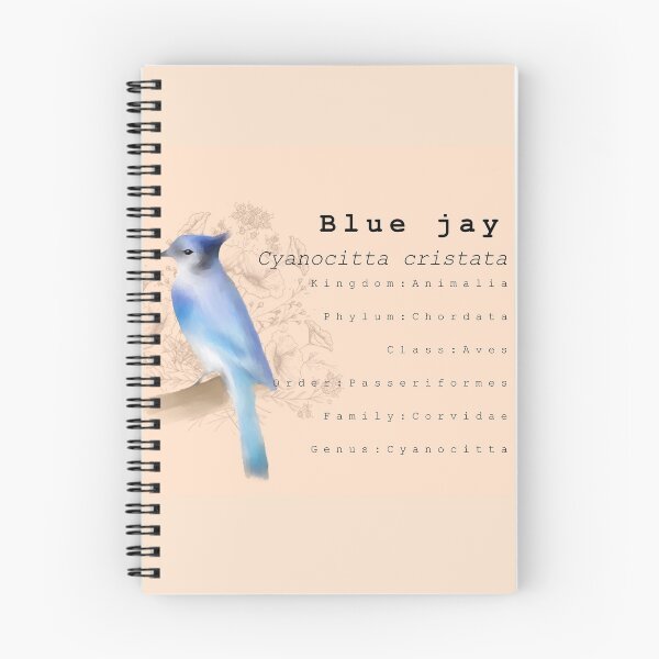 Item preview, Blue jay Vintage print.  designed and sold by faztheartnoob.