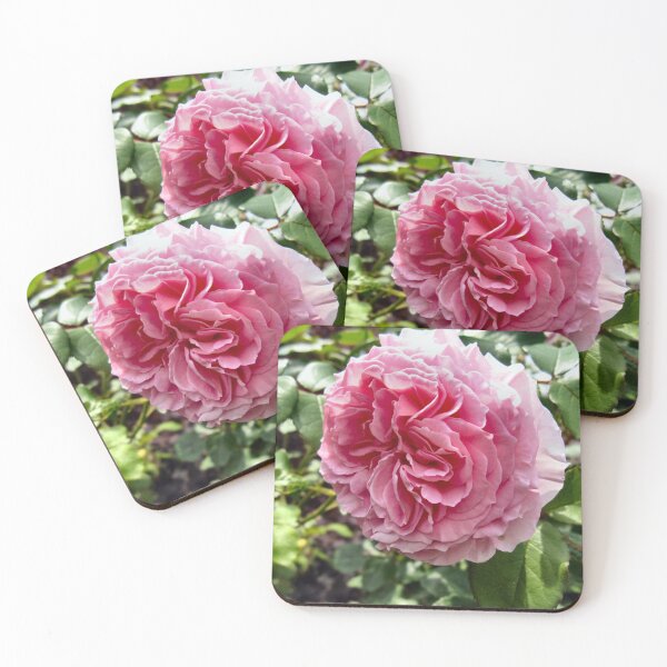 Item preview, Natures Finest. designed and sold by ronsaunders47.