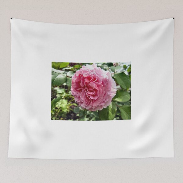Item preview, Natures Finest. designed and sold by ronsaunders47.
