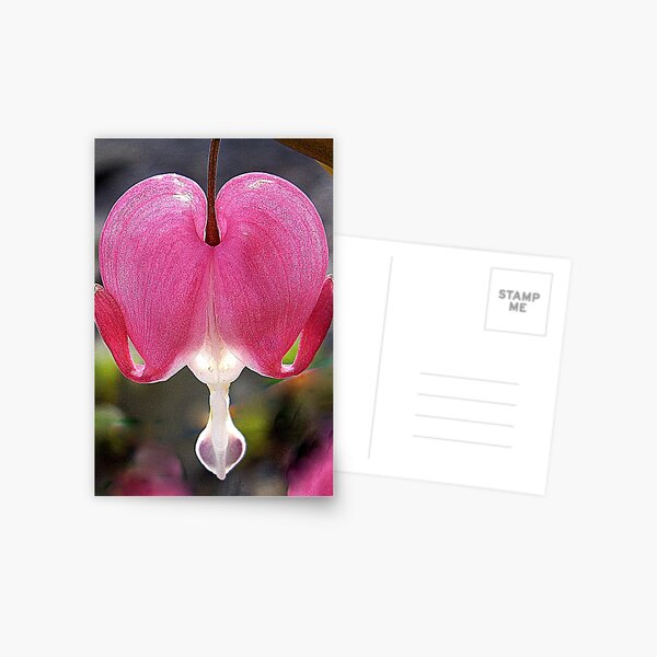 Item preview, Bleedingb Heart designed and sold by Rusty (Helen)  Valenza.