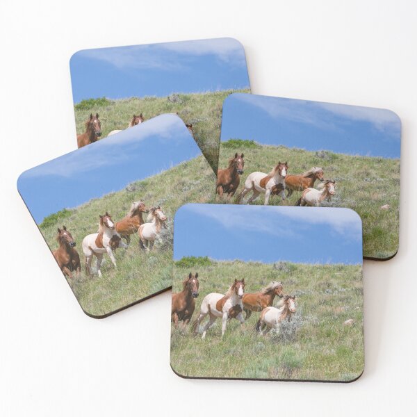 Item preview, Pretty paint pony herd in Montana looking at camera designed and sold by BerryvineImage.