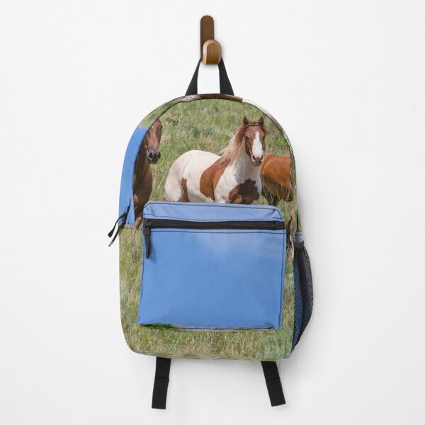 Item preview, Pretty paint pony herd in Montana looking at camera designed and sold by BerryvineImage.