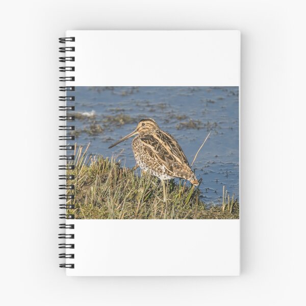 Item preview, Snipe designed and sold by MikeSquires.