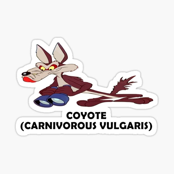 Roadrunner et El Coyote 8 Sticker