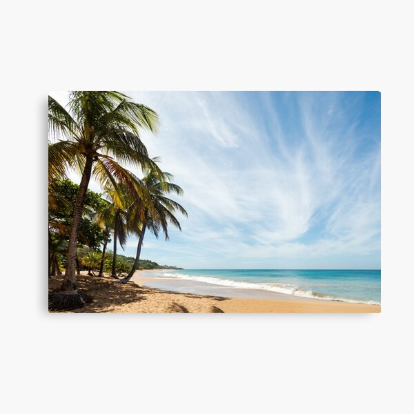 Dream beach in Guadeloupe Metal Print