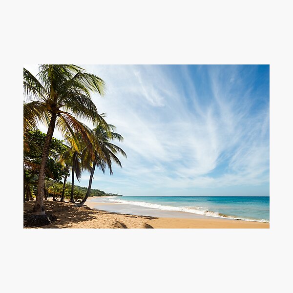 Item preview, Dream beach in Guadeloupe designed and sold by Robert Gall Photography.