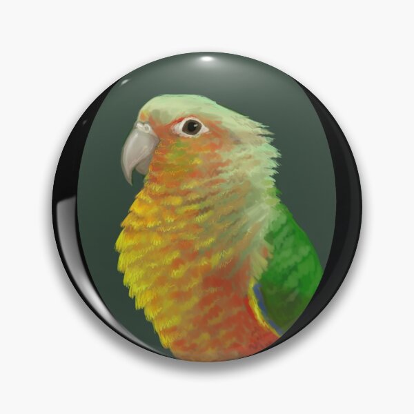 Item preview, Pinapple Conure designed and sold by rlmerrick.