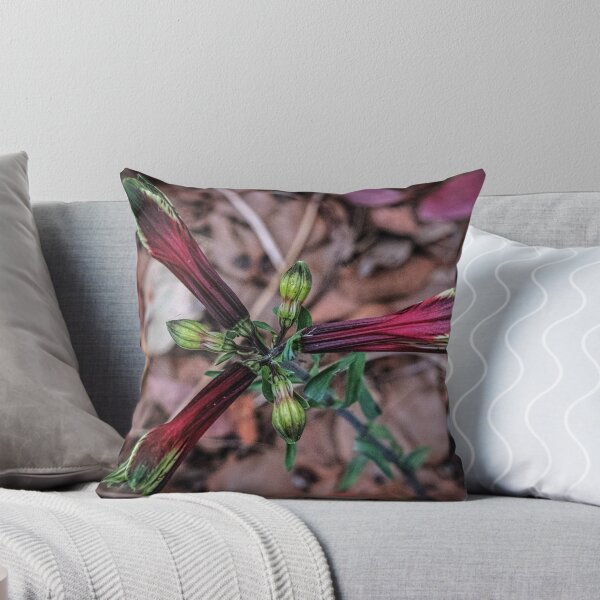 Item preview, Red buds on way Leith Park Victoria 20151207 0816   designed and sold by Fred Mitchell.
