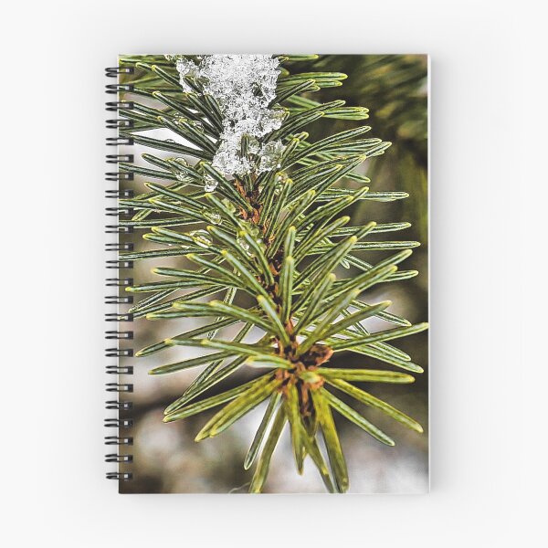 Item preview, Close up Pine designed and sold by ADM  Photography.