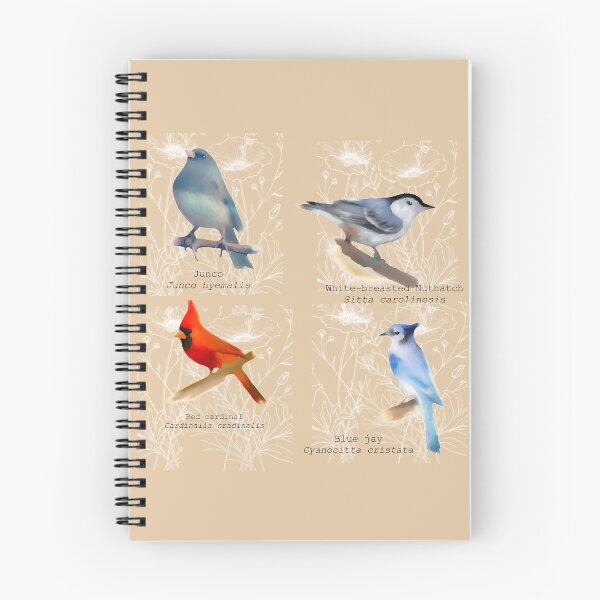 Item preview, Copy of Red CardinalVintage print.  designed and sold by faztheartnoob.