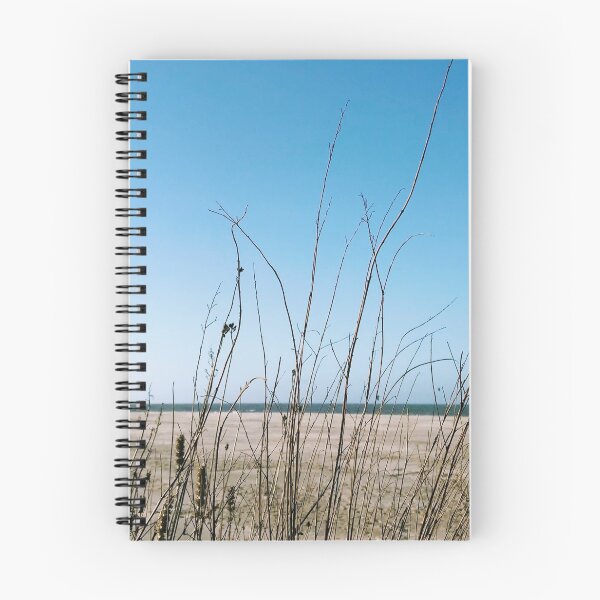 Item preview, Ostend beach twigs designed and sold by Sandrinebgt.