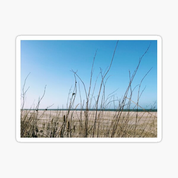 Item preview, Ostend beach twigs designed and sold by Sandrinebgt.