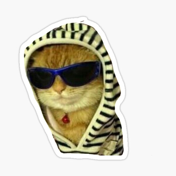 swaggy cat pfp - Roblox