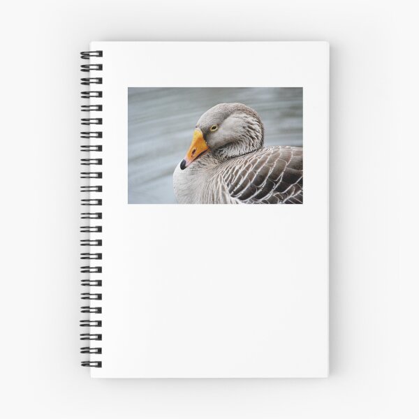 Item preview, Greylag Goose designed and sold by Laurie Minor.