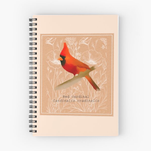 Item preview, Red cardinal bird floral sticker. designed and sold by faztheartnoob.