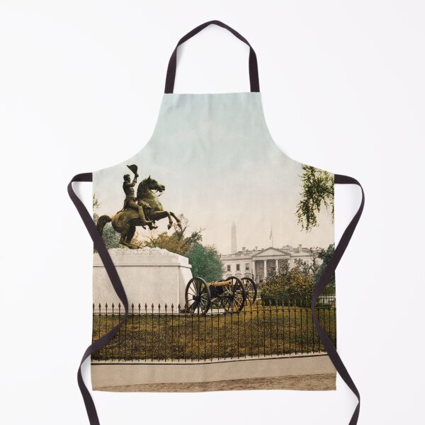 Item preview, Andrew Jackson Monument and The White House - Circa 1898 Photochrom designed and sold by warishellstore.