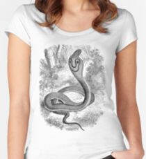 Vintage Snake Hooded Serpent Illustration Retro 1800s Black and White Snakes Reptile Image Women's Fitted Scoop T-Shirt