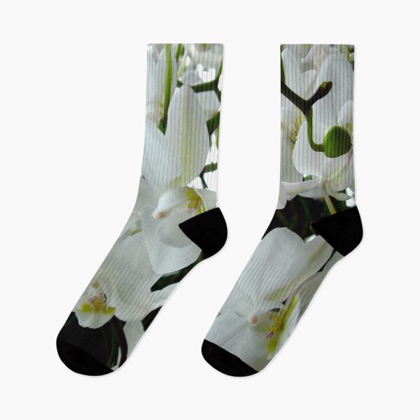 Item preview, White Orchids Blooming photographic print designed and sold by CraveArt.