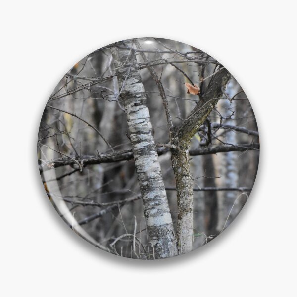 Item preview, Forest walk | Nature photography designed and sold by Mii-pics.