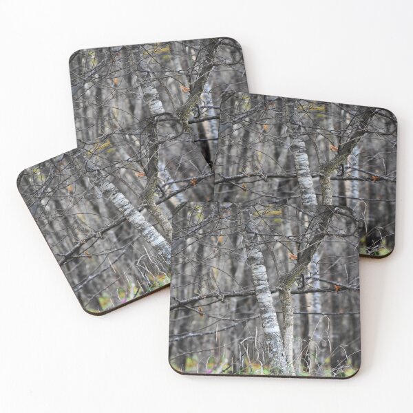 Item preview, Forest walk | Nature photography designed and sold by Mii-pics.