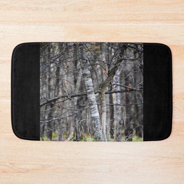 Item preview, Forest walk | Nature photography designed and sold by Mii-pics.