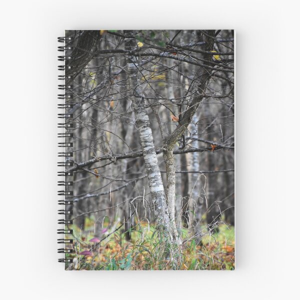 Item preview, Forest walk | Nature photography designed and sold by Mii-pics.