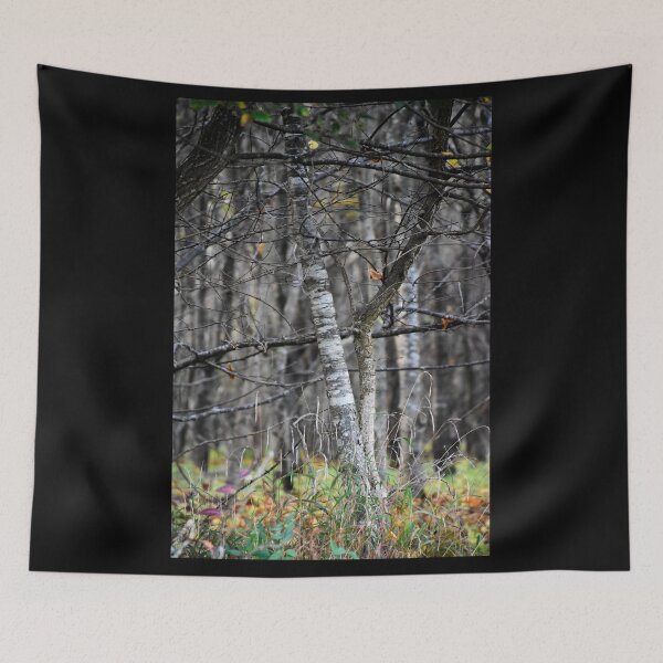 Item preview, Forest walk | Nature photography designed and sold by Mii-pics.