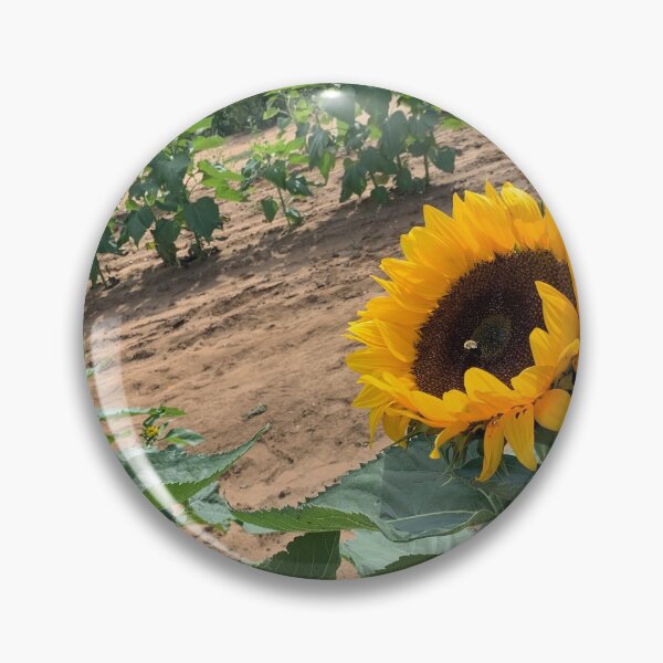 Aperçu de l'œuvre Scène de tournesol créée et vendue par KTurtles.