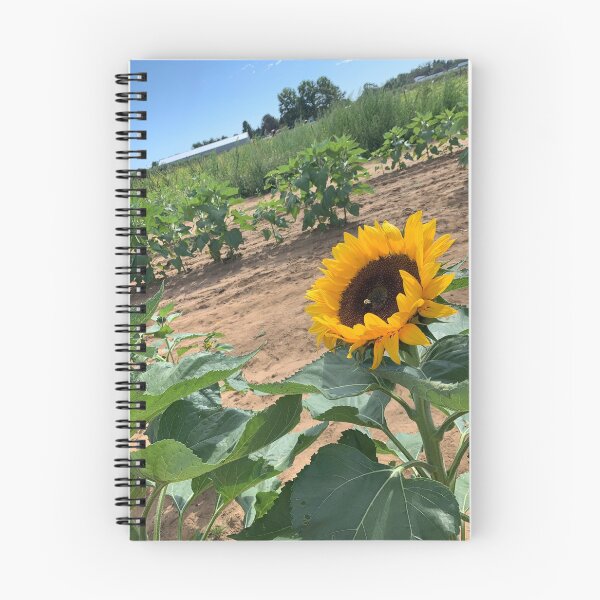 Item preview, Sunflower Scene designed and sold by KTurtles.