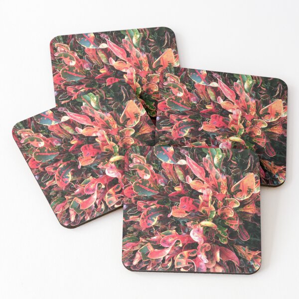 Item preview, Colorful Croton Bush designed and sold by anatovas.
