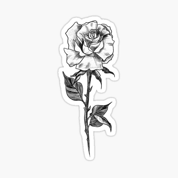 Item preview, Rose sketch designed and sold by Queer-enby-shit.