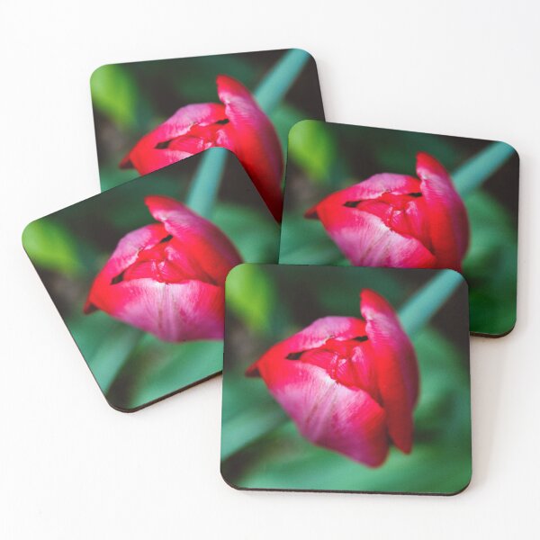Item preview, Tulip bulbs flower love designed and sold by SzendeB.