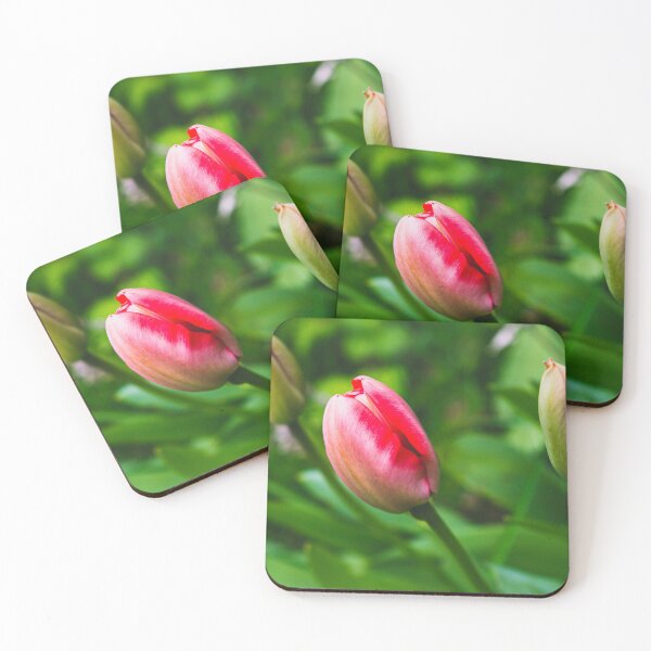 Item preview, Tulip bulbs flower love designed and sold by SzendeB.