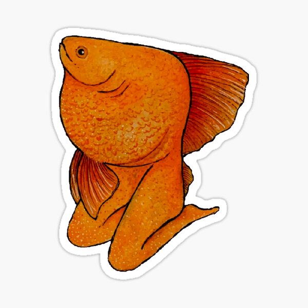 Orange Fish Cartoon Gifts & Merchandise for Sale | Redbubble Orange Fish Cartoon Gifts & Merchandise for Sale | Redbubble