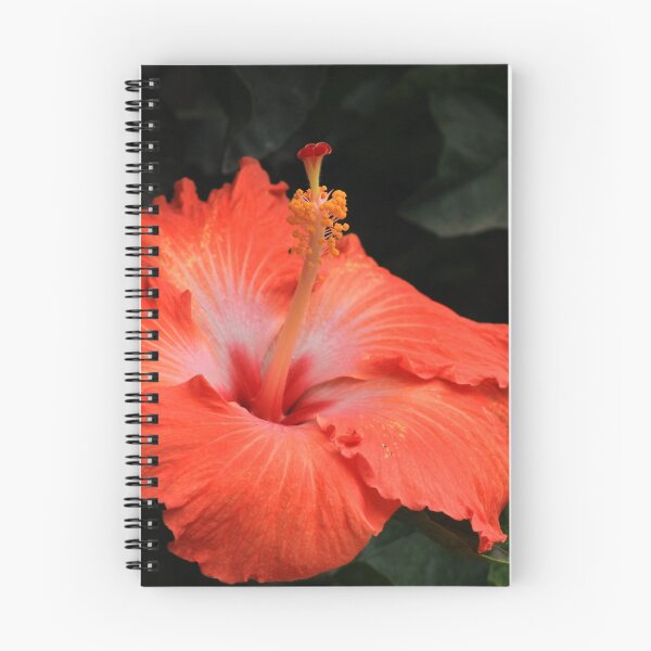 Item preview, Colorful Hibiscus designed and sold by rhamm.