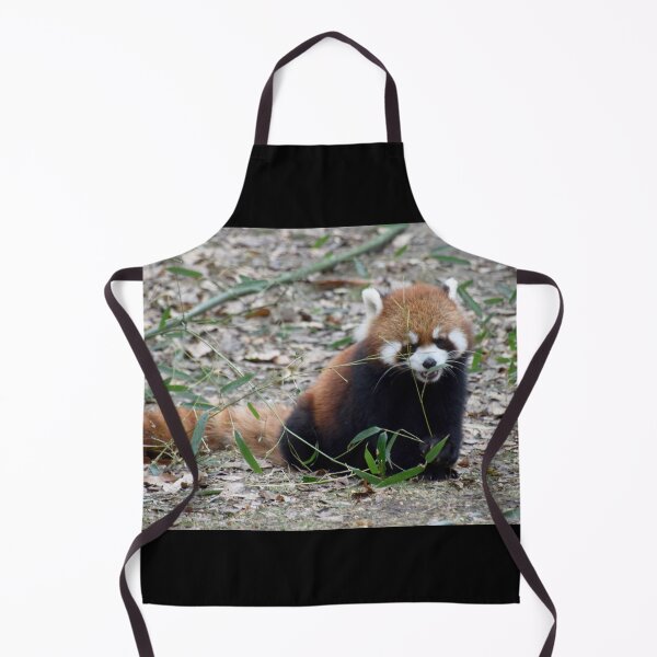 Item preview, Red Panda at the Cincinnati Zoo designed and sold by Zoo and Nature Photography by Karie.