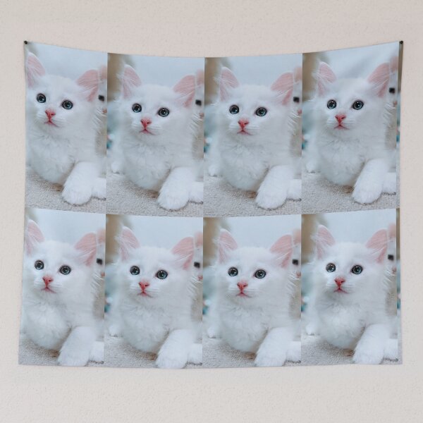 Item preview, Fluffy white kitten designed and sold by Fluffycat2020.