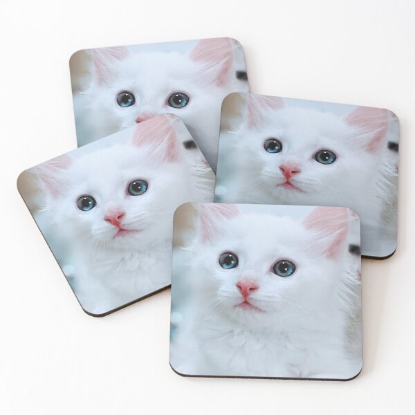 Item preview, Fluffy white kitten designed and sold by Fluffycat2020.