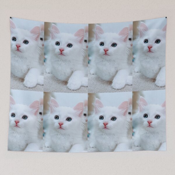 Item preview, Fluffy white kitten designed and sold by Fluffycat2020.