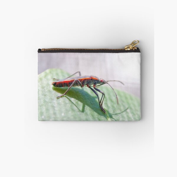 Item preview, Boxelder Bug designed and sold by dlamb.