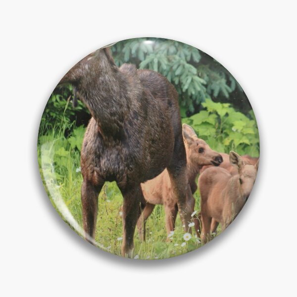 Item preview, Moose familia designed and sold by zumi.