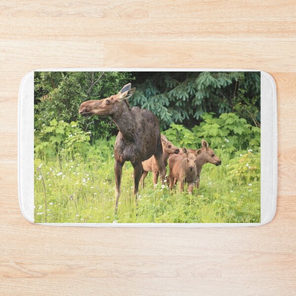 Item preview, Familia de alces designed and sold by zumi.