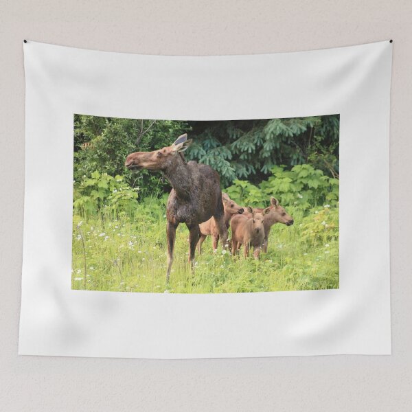 Item preview, Moose familia designed and sold by zumi.
