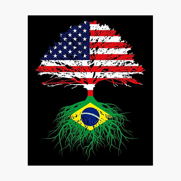 Brazil Brasil Roots, Brazilian American Immigrant, Brazil Grown, Brazil  USA Flag, Gift Present For Men Women Kids Youth Family Photographic Print