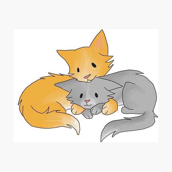 Cuddling Kittens Photographic Print