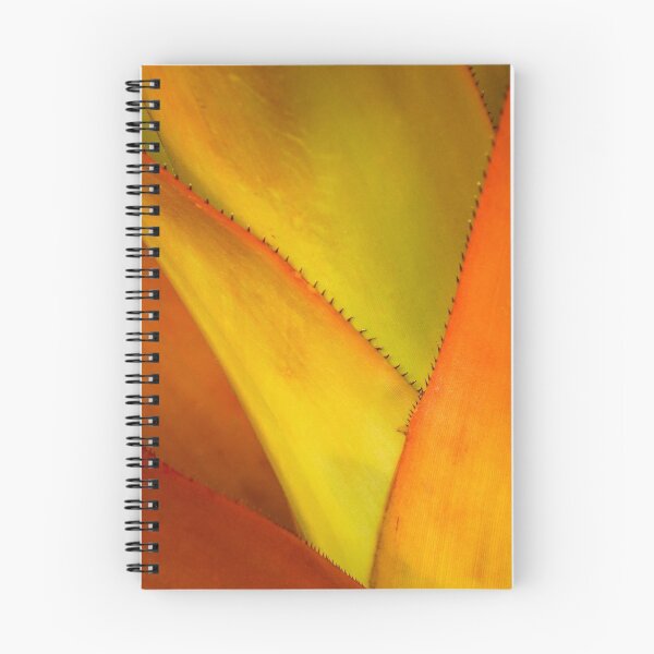 Item preview, Orange Bromeliad Up Close designed and sold by Robert Kelch, M.D..