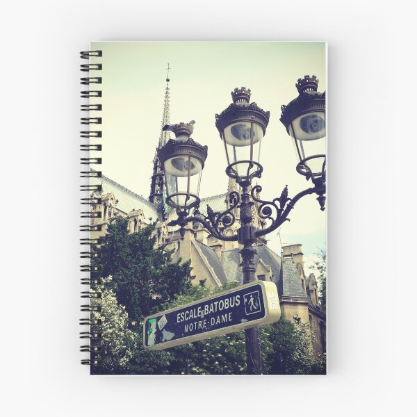Item preview, Lamppost at Notre Dame Paris designed and sold by Willis Turner.