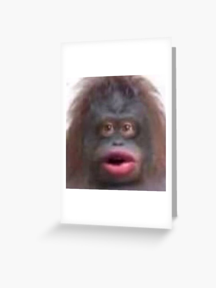 uh oh stinky poopy monkey face Greeting Card for Sale by LAST WEEK'S  STOLEN AESTHETICS