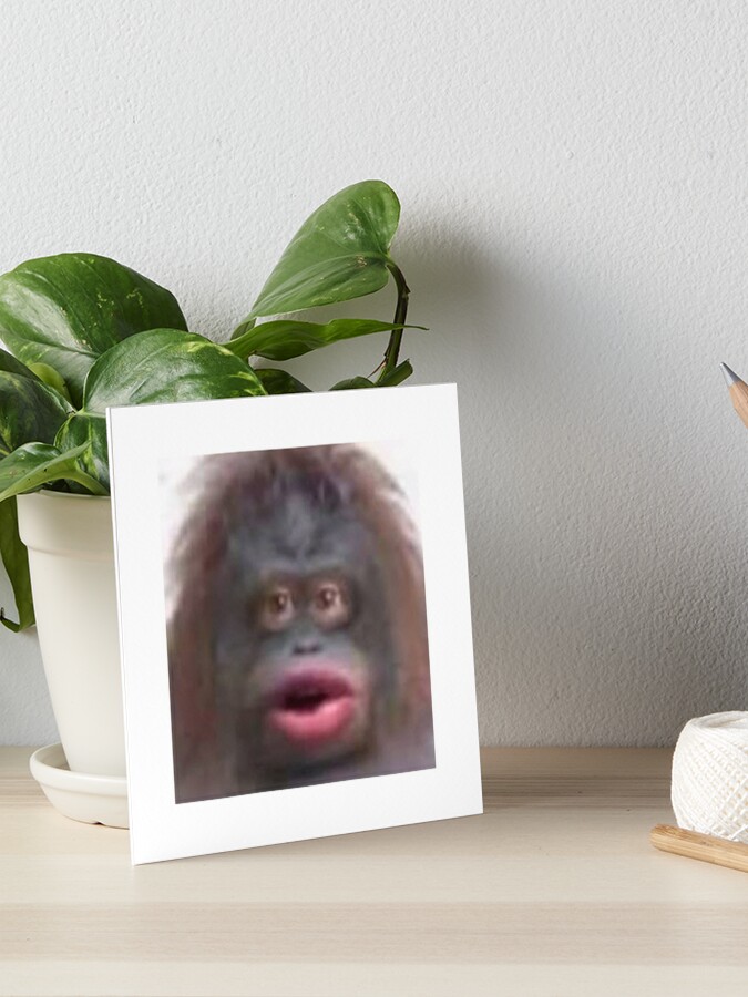 uh oh stinky poopy monkey face Greeting Card for Sale by LAST WEEK'S  STOLEN AESTHETICS