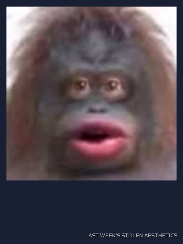 Monkey with face filter : r/memes